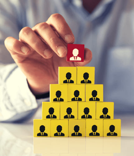 Organization Overview